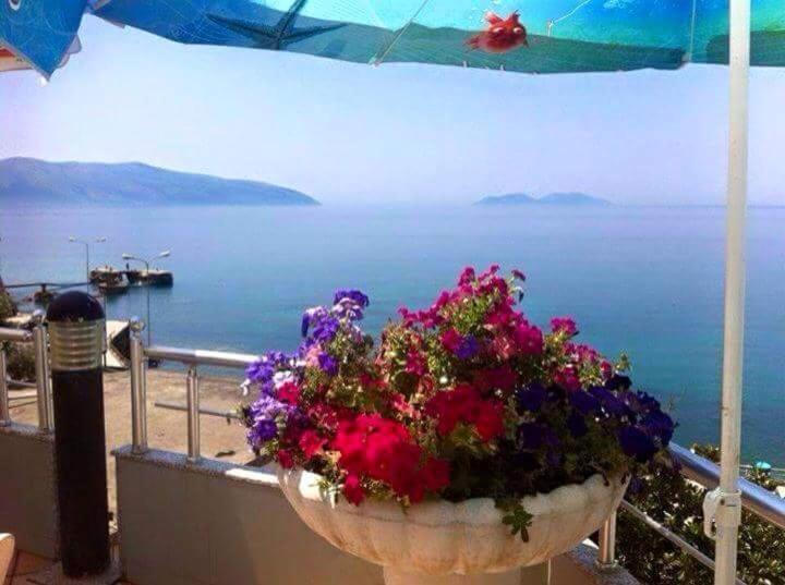 Vlora Apartments Buitenkant foto